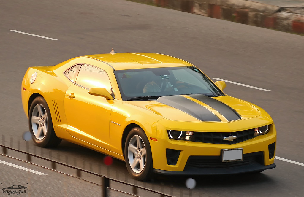 bumblebee