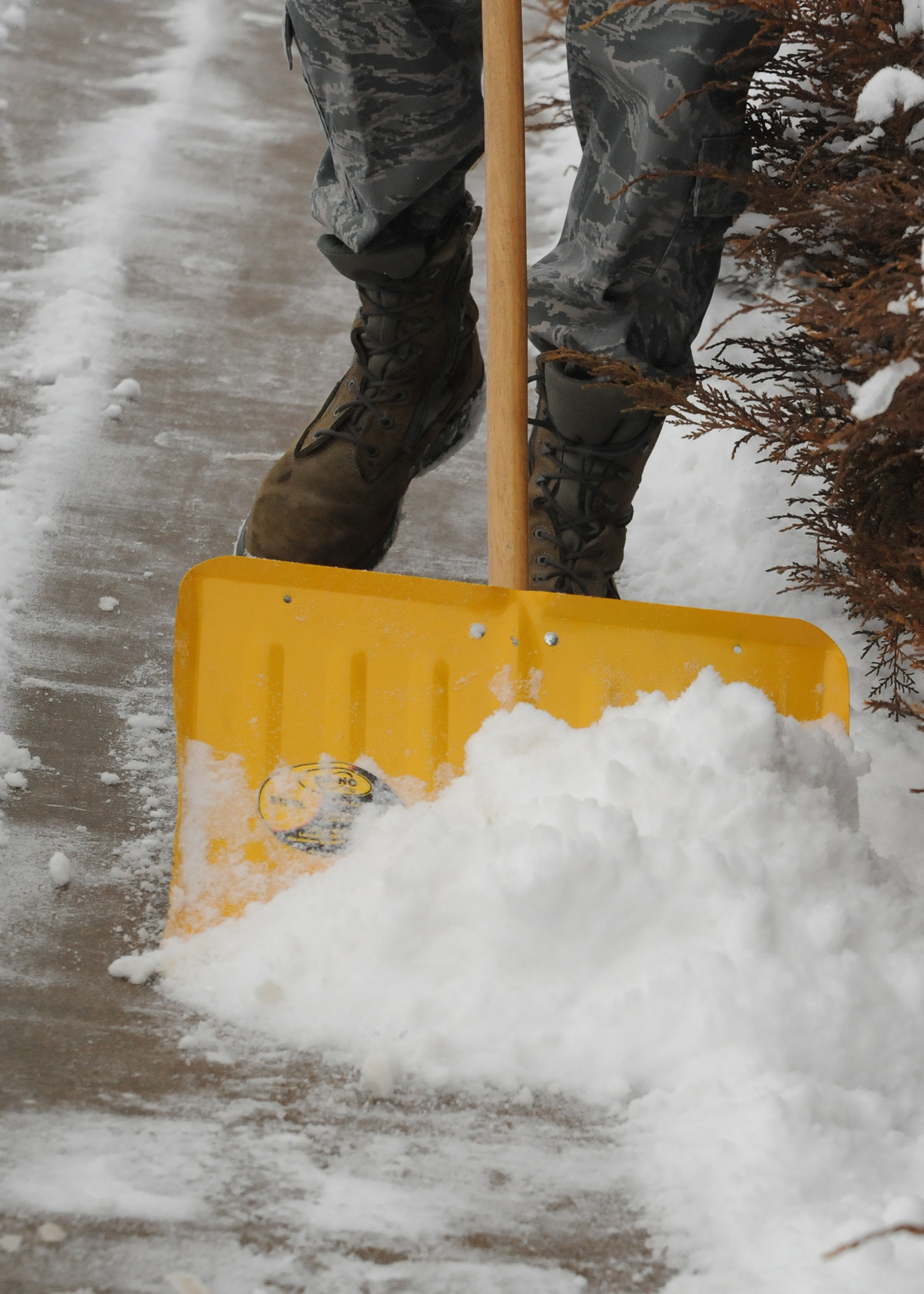 Salting Vehicle