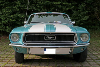 Image of a Mustang